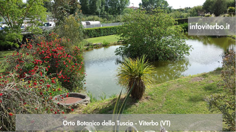 Orto Botanico della Tuscia - Viterbo (VT) Orto Botanico della Tuscia - Viterbo (VT)